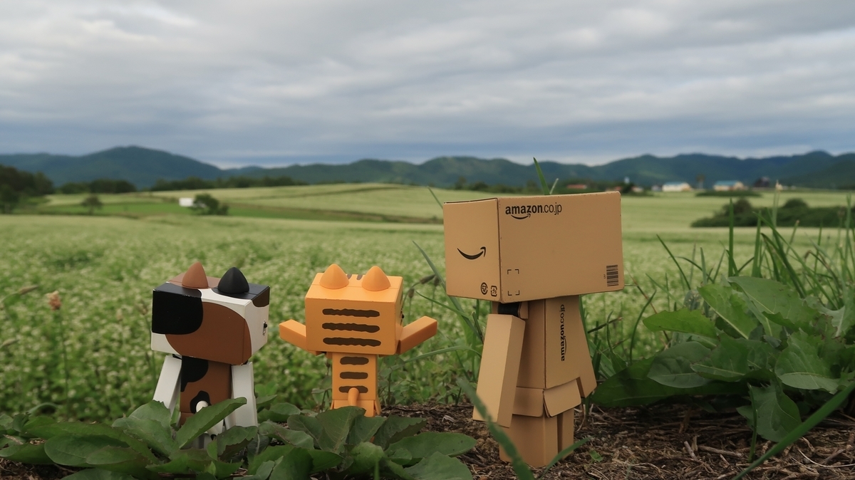 f:id:shirokumapanda:20190817121515j:plain