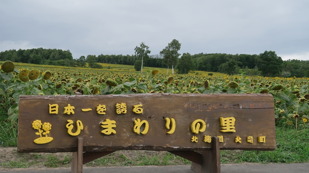 f:id:shirokumapanda:20190818001939j:plain