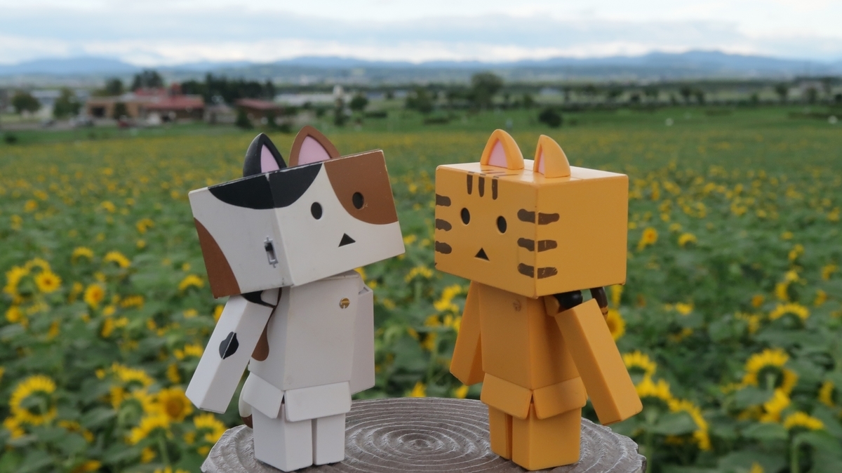 f:id:shirokumapanda:20190818001946j:plain