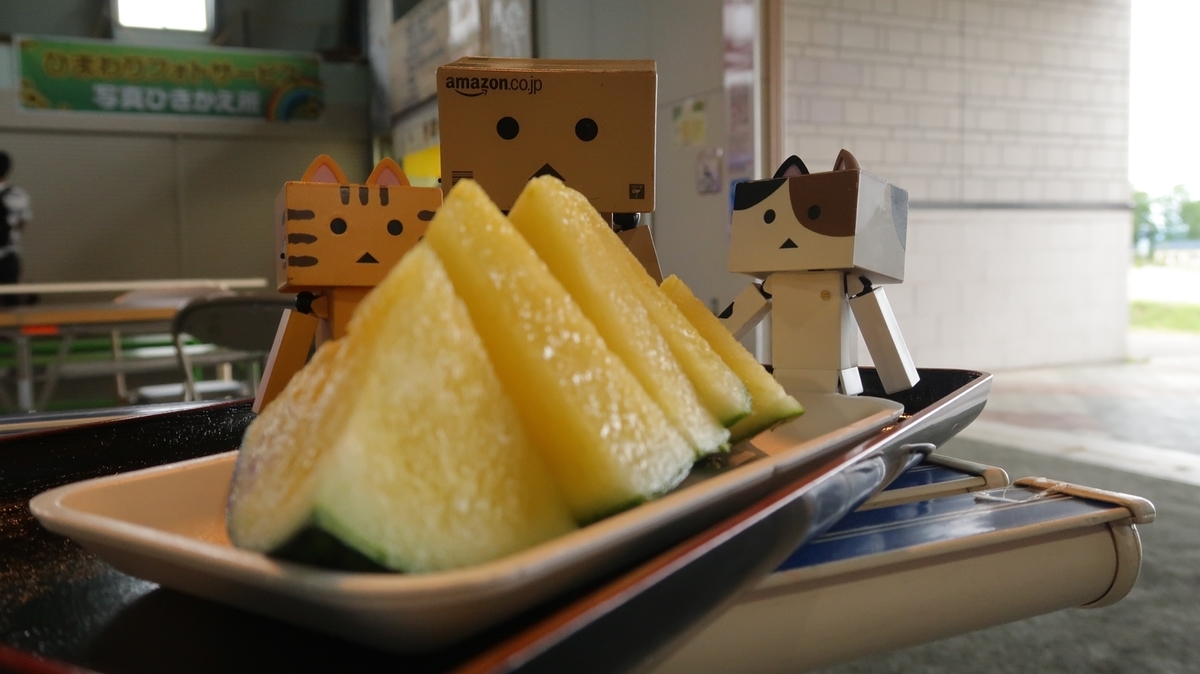 f:id:shirokumapanda:20190818001957j:plain