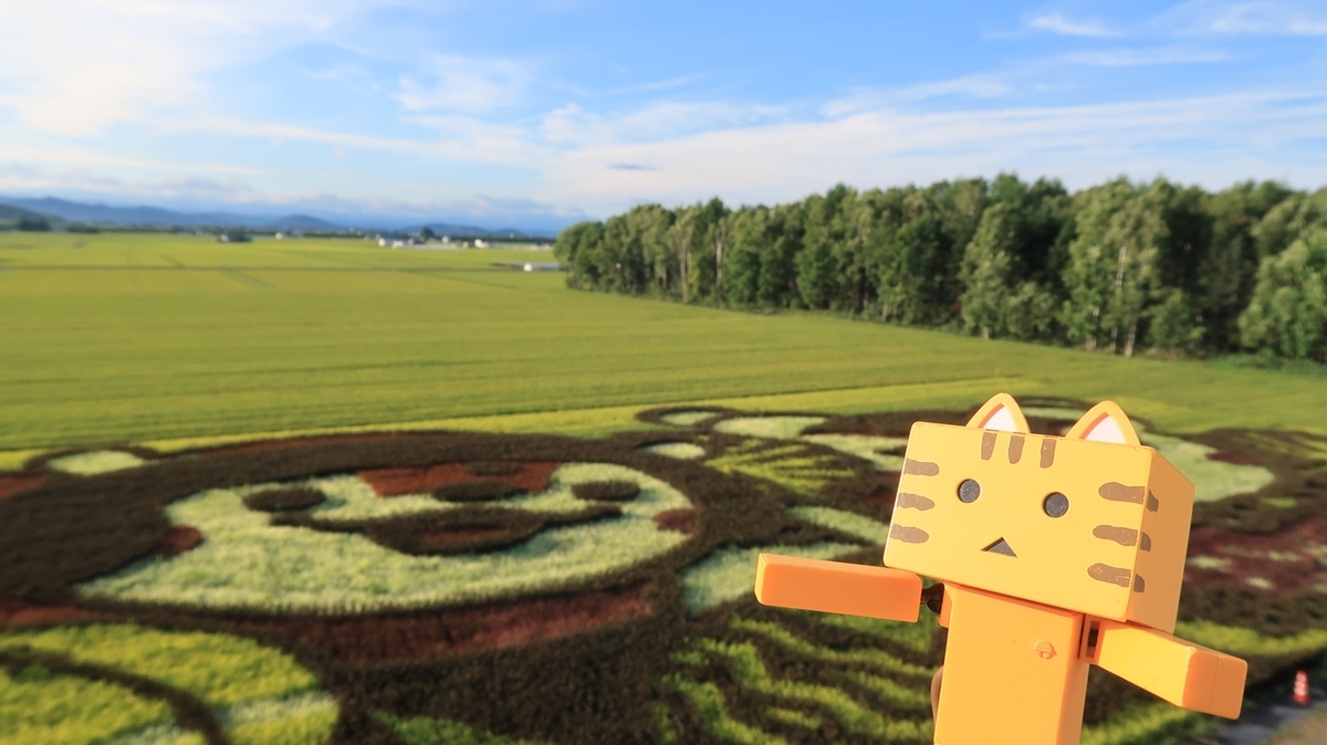 f:id:shirokumapanda:20190818002017j:plain