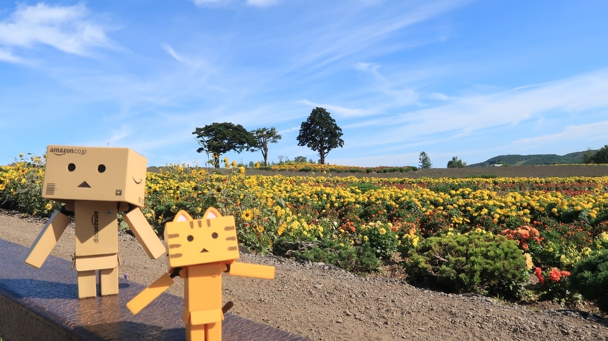 f:id:shirokumapanda:20190818002102j:plain