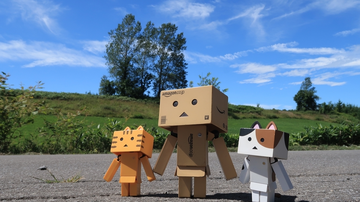 f:id:shirokumapanda:20190818002309j:plain