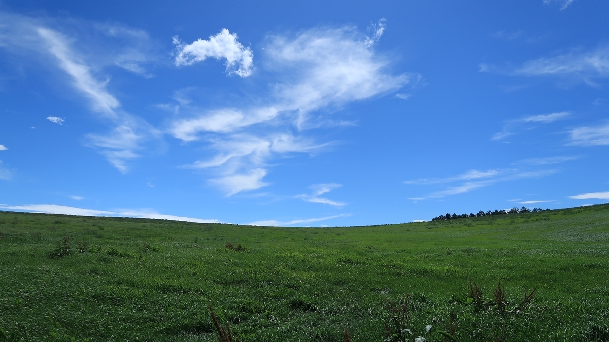 f:id:shirokumapanda:20190818002323j:plain