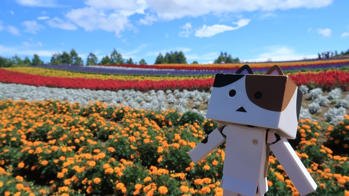 f:id:shirokumapanda:20190818002422j:plain