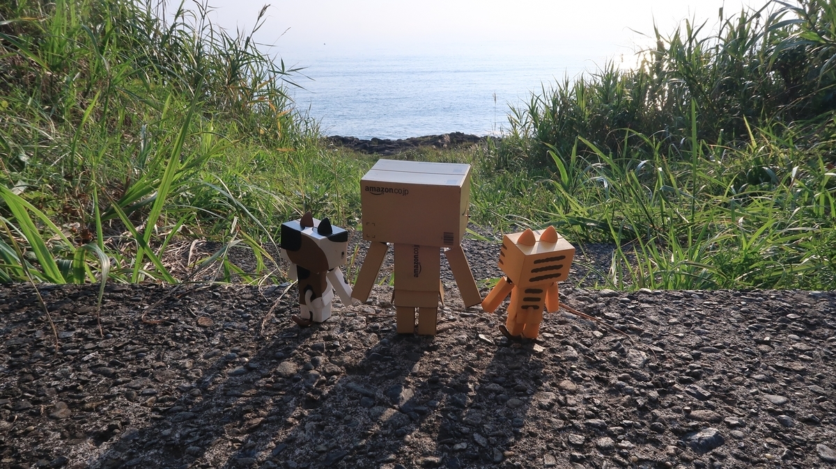 f:id:shirokumapanda:20190819013926j:plain