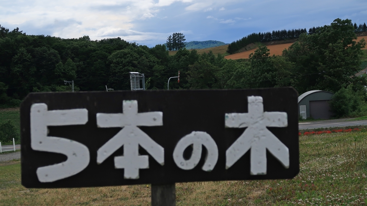 f:id:shirokumapanda:20190821233546j:plain