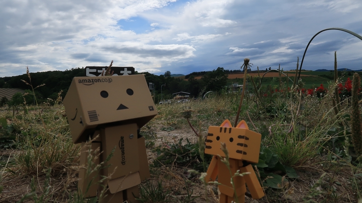 f:id:shirokumapanda:20190821233558j:plain