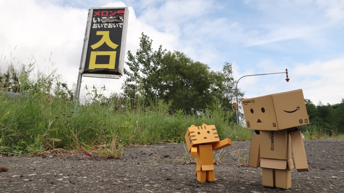 f:id:shirokumapanda:20190827013332j:plain