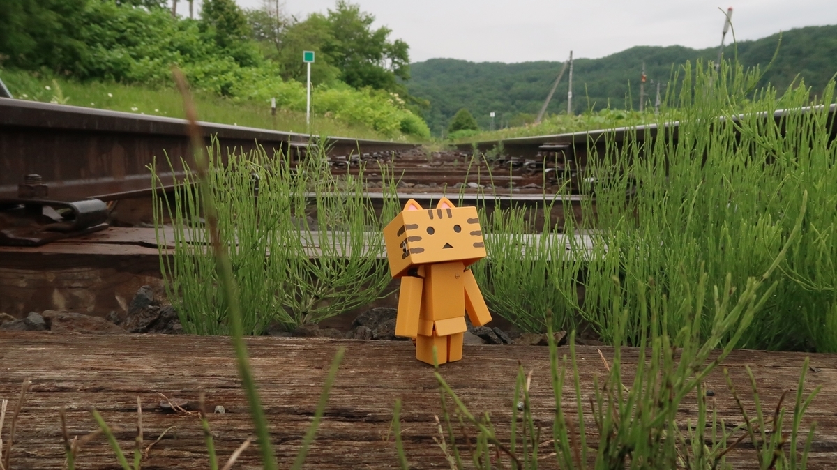 f:id:shirokumapanda:20190830033356j:plain