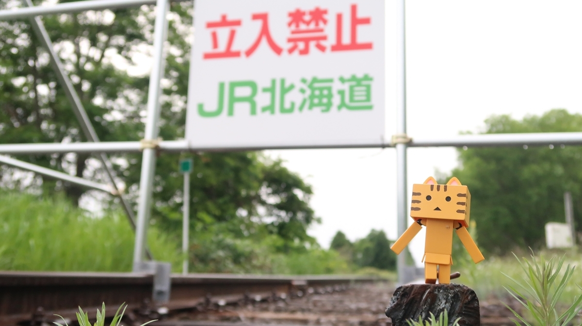 f:id:shirokumapanda:20190830033412j:plain