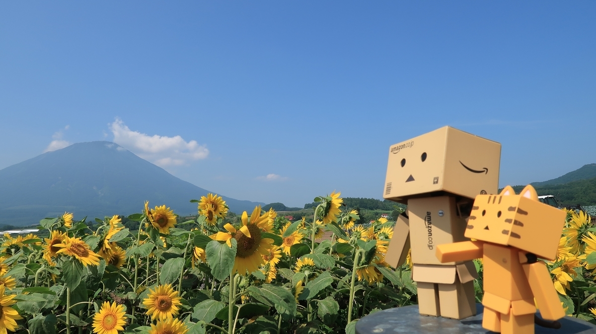 f:id:shirokumapanda:20190904232808j:plain