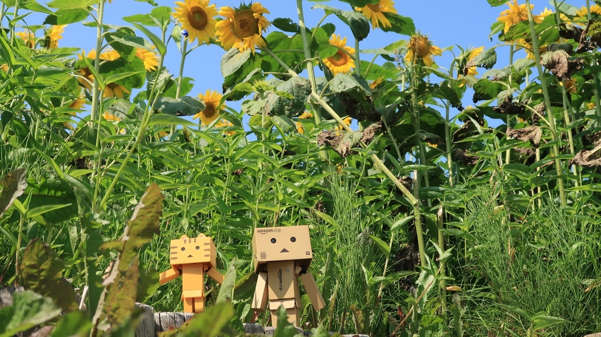 f:id:shirokumapanda:20190904232843j:plain