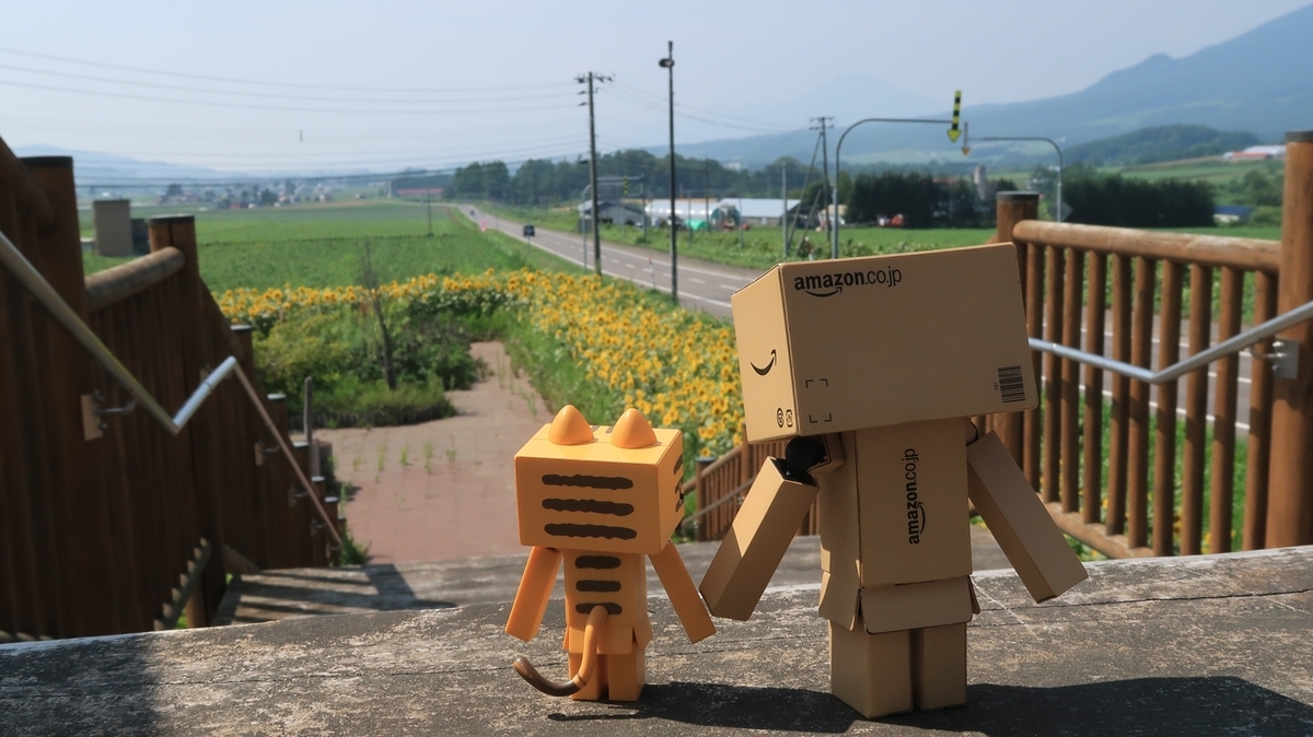 f:id:shirokumapanda:20190904232905j:plain