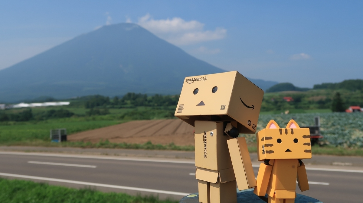 f:id:shirokumapanda:20190904232918j:plain