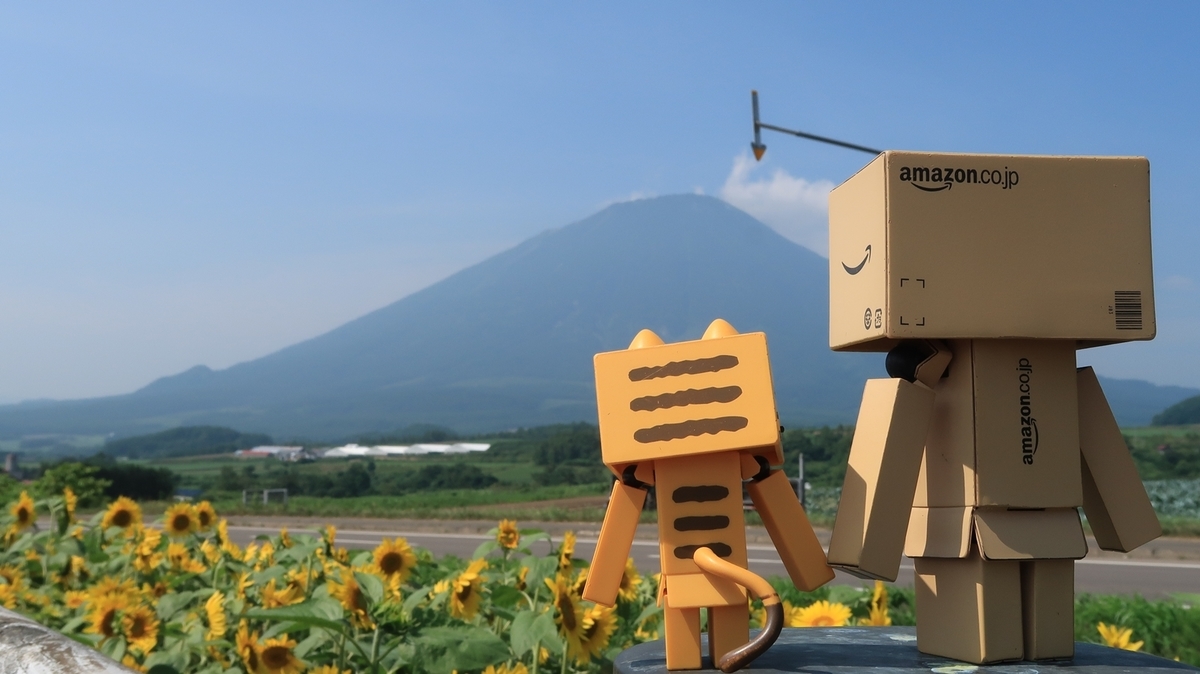 f:id:shirokumapanda:20190904232923j:plain