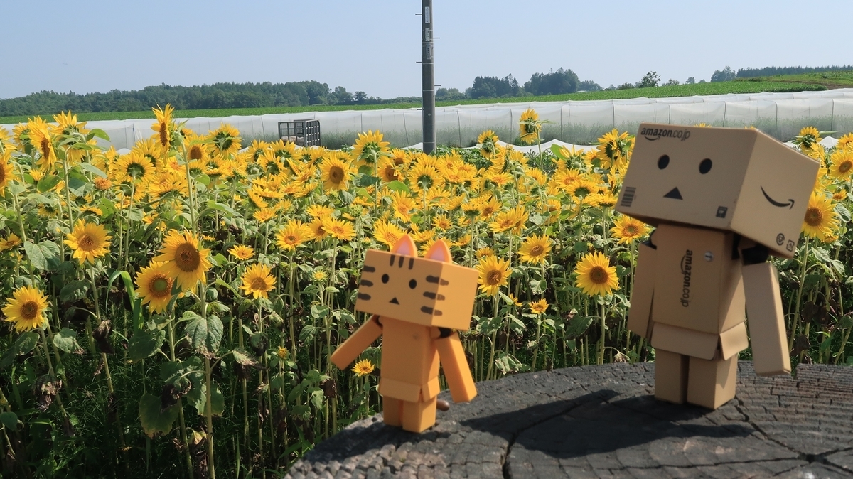 f:id:shirokumapanda:20190904232940j:plain