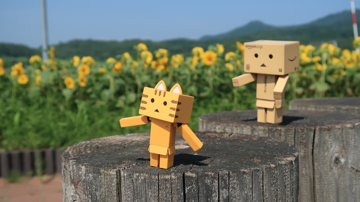 f:id:shirokumapanda:20190904232951j:plain