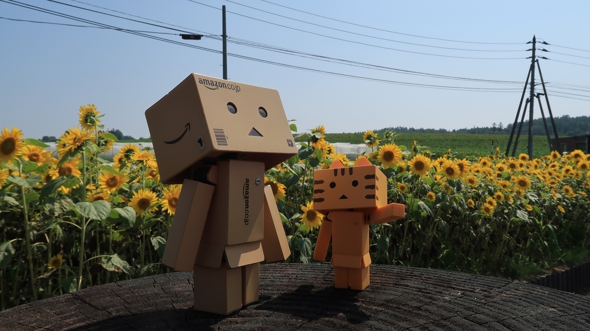 f:id:shirokumapanda:20190904232958j:plain