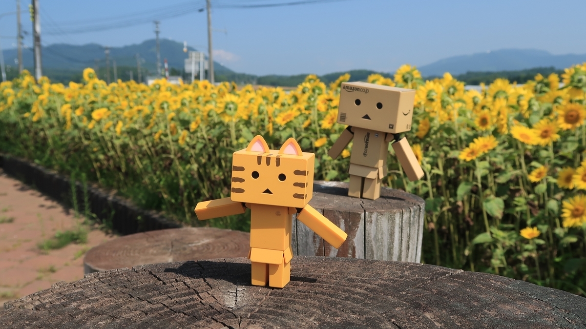 f:id:shirokumapanda:20190904233005j:plain