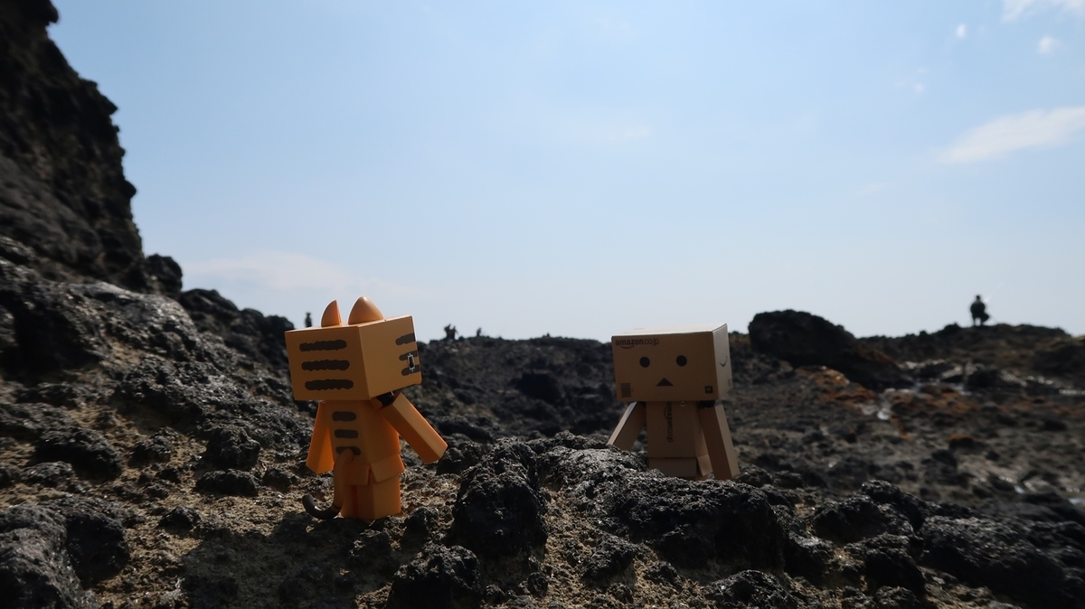 f:id:shirokumapanda:20190906014700j:plain f:id:shirokumapanda:20190906014700j:plain