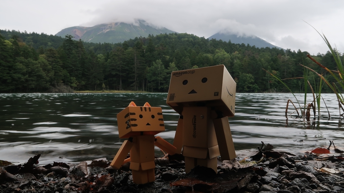 f:id:shirokumapanda:20190909011646j:plain