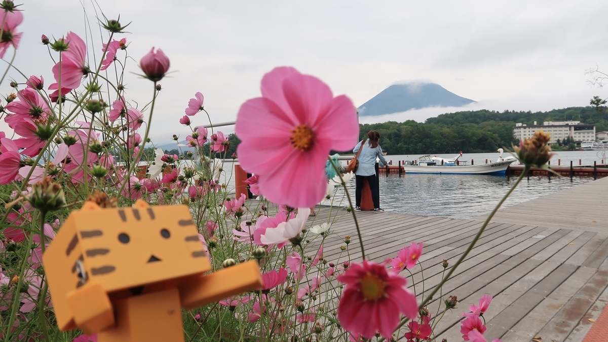 f:id:shirokumapanda:20190909011713j:plain