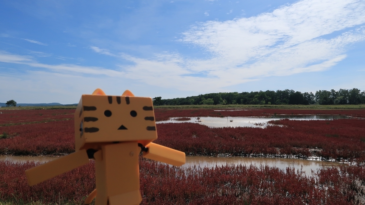 f:id:shirokumapanda:20190909223705j:plain f:id:shirokumapanda:20190909223705j:plain