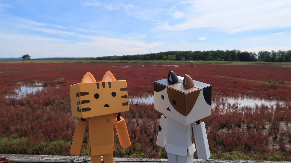 f:id:shirokumapanda:20190909223721j:plain f:id:shirokumapanda:20190909223721j:plain