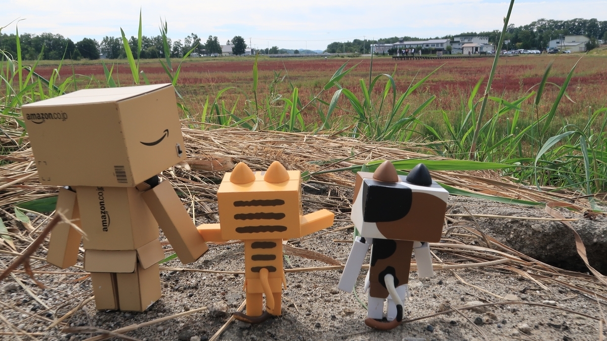 f:id:shirokumapanda:20190909223728j:plain f:id:shirokumapanda:20190909223728j:plain