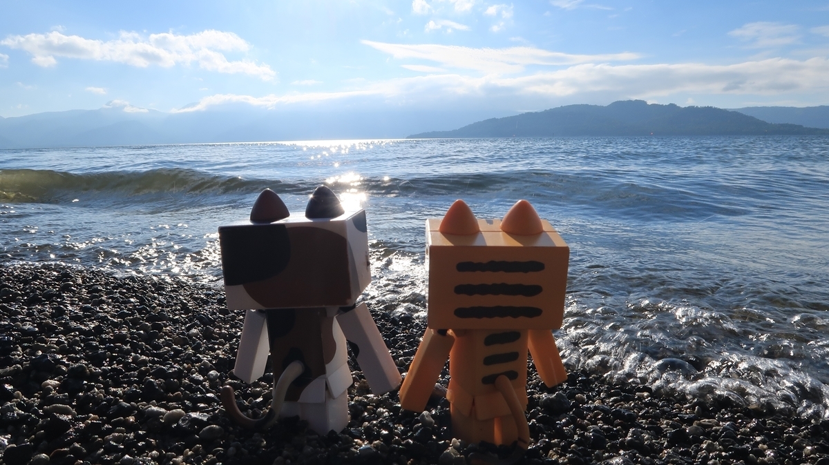 f:id:shirokumapanda:20190909223955j:plain f:id:shirokumapanda:20190909223955j:plain