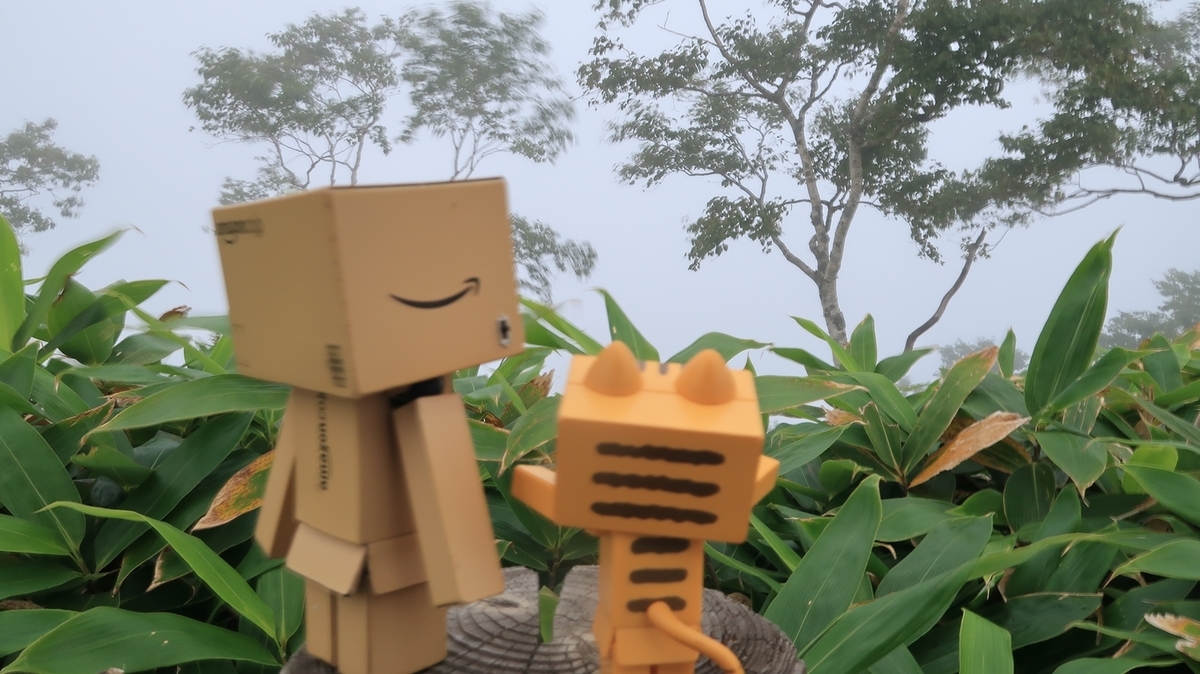 f:id:shirokumapanda:20190909224027j:plain f:id:shirokumapanda:20190909224027j:plain