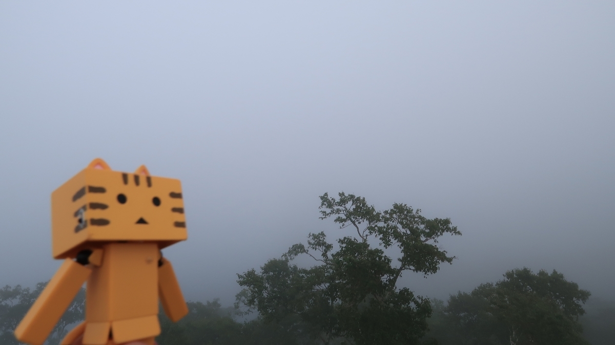 f:id:shirokumapanda:20190909224041j:plain f:id:shirokumapanda:20190909224041j:plain
