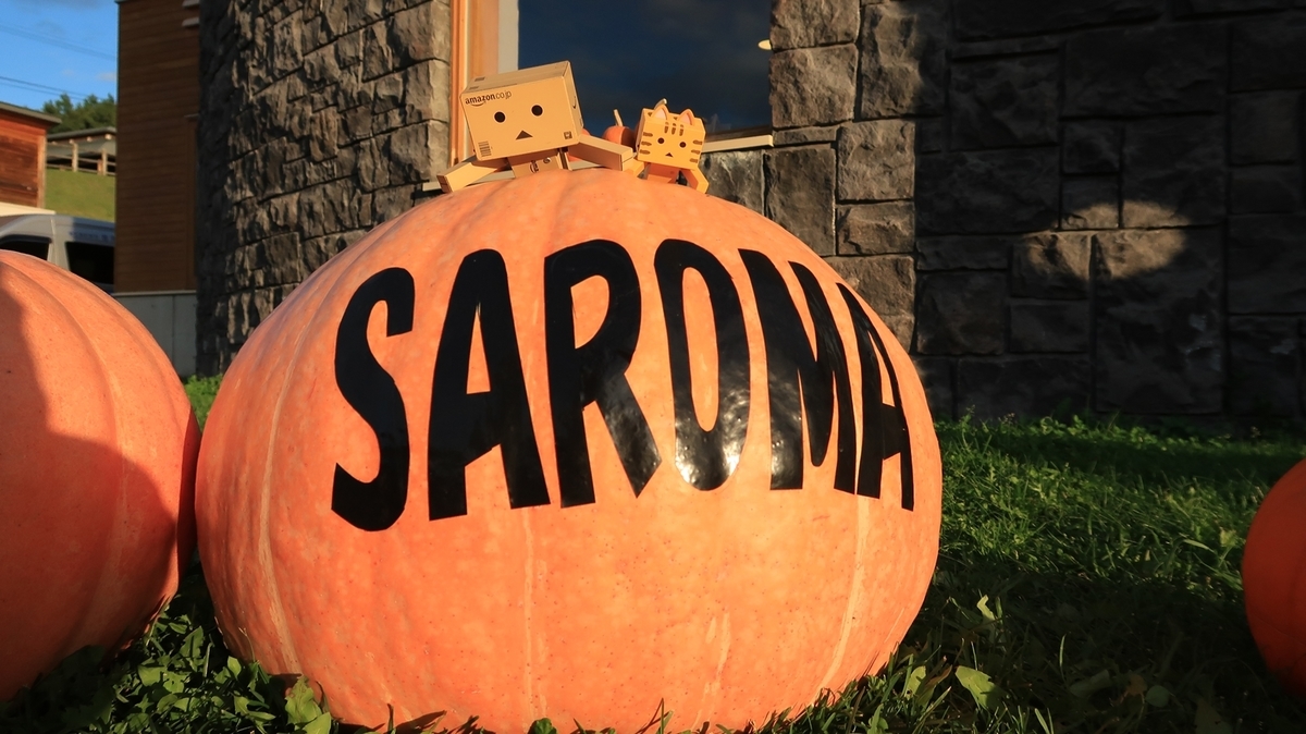 f:id:shirokumapanda:20190924004441j:plain f:id:shirokumapanda:20190924004441j:plain