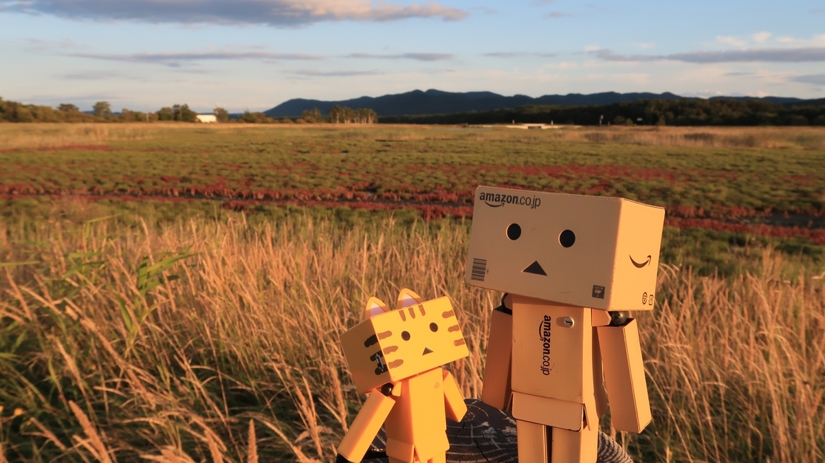 f:id:shirokumapanda:20190924004456j:plain f:id:shirokumapanda:20190924004456j:plain