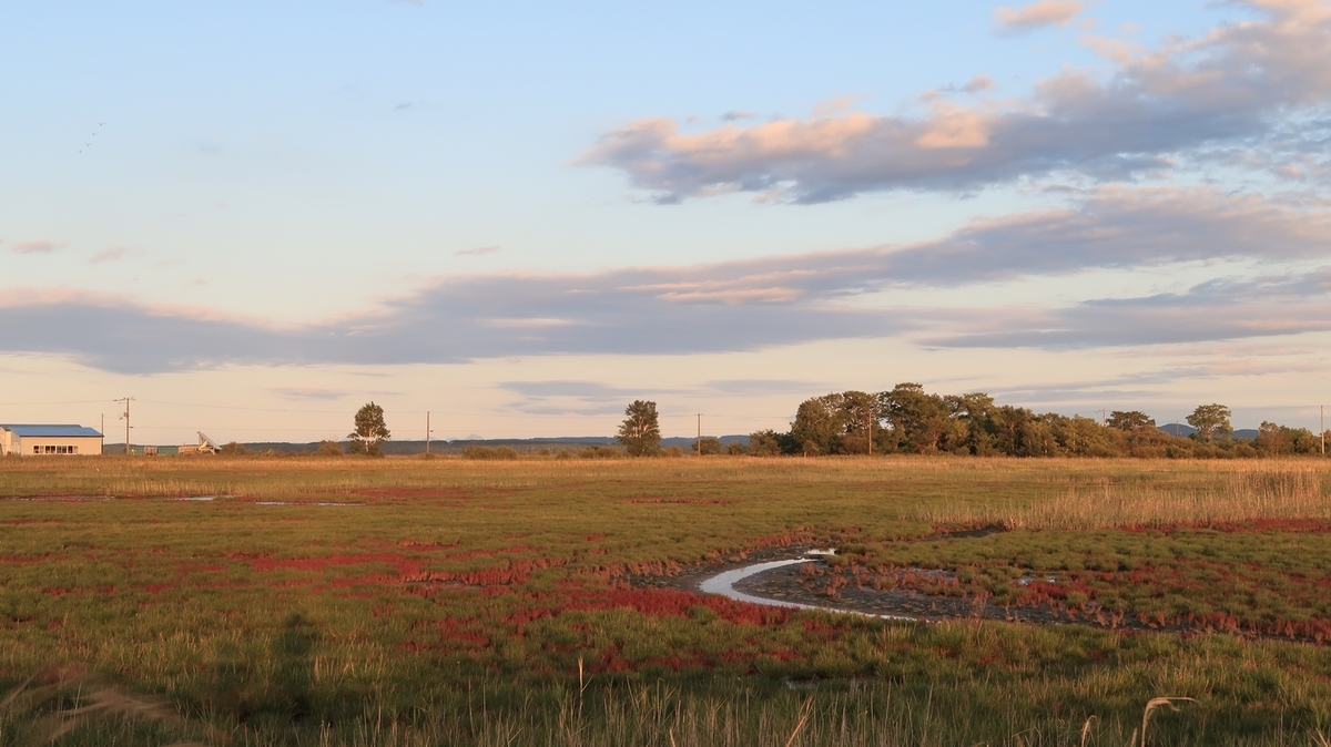 f:id:shirokumapanda:20190924004511j:plain f:id:shirokumapanda:20190924004511j:plain