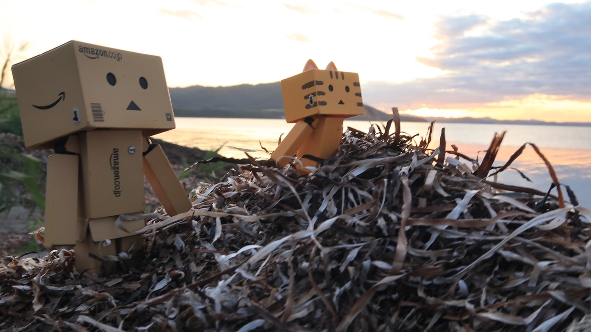 f:id:shirokumapanda:20190924004517j:plain f:id:shirokumapanda:20190924004517j:plain