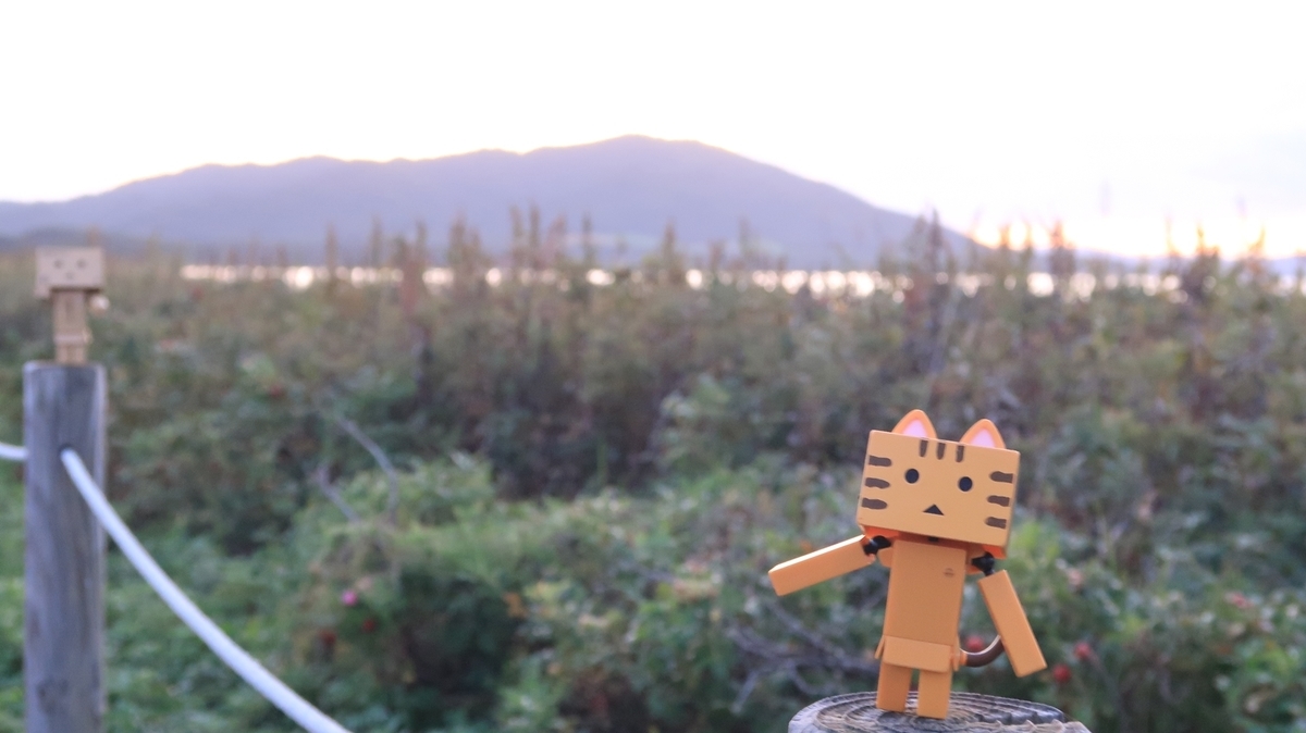 f:id:shirokumapanda:20190924004538j:plain f:id:shirokumapanda:20190924004538j:plain