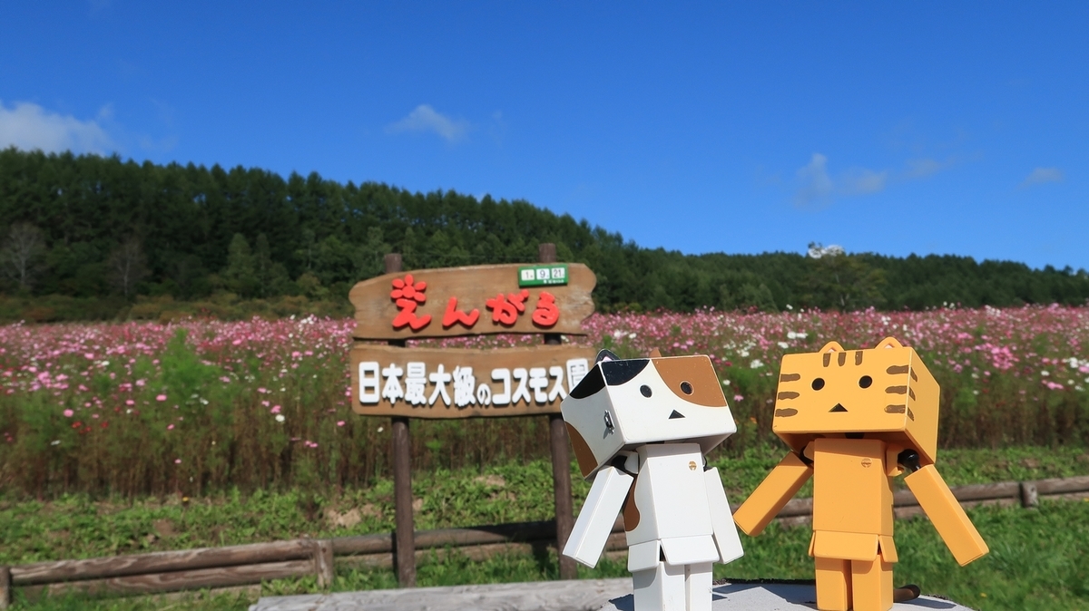 f:id:shirokumapanda:20190924004631j:plain f:id:shirokumapanda:20190924004631j:plain