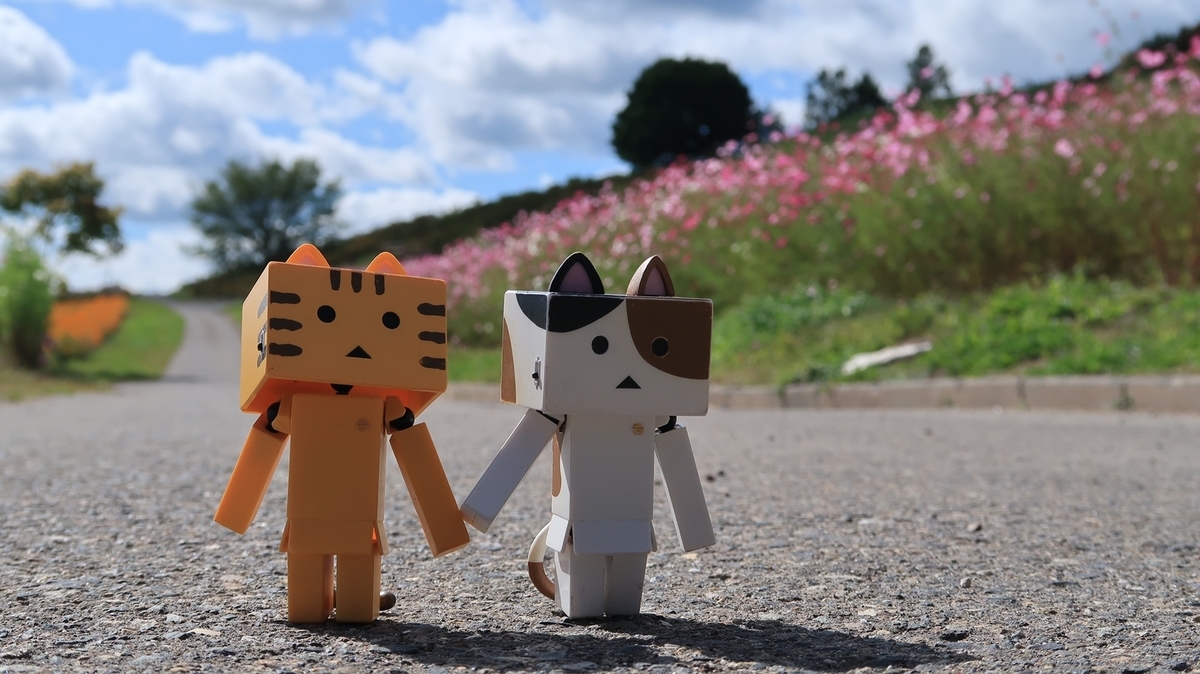 f:id:shirokumapanda:20190924004657j:plain f:id:shirokumapanda:20190924004657j:plain