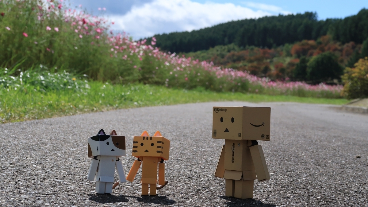 f:id:shirokumapanda:20190924004815j:plain f:id:shirokumapanda:20190924004815j:plain