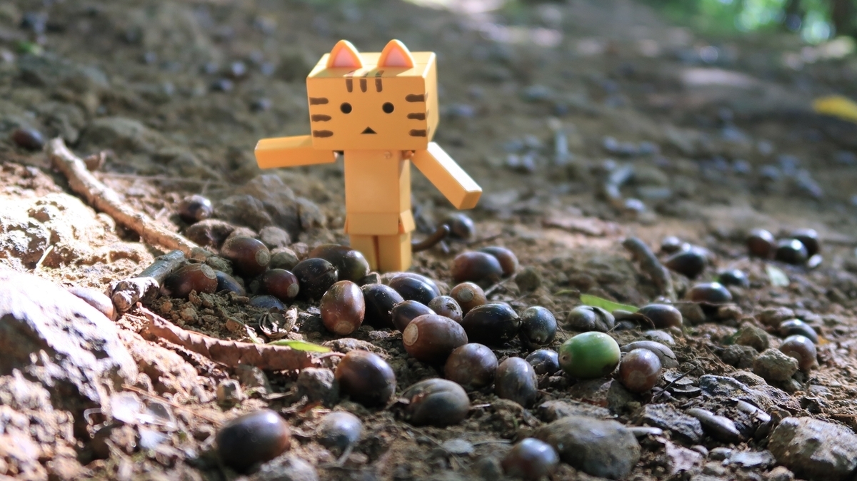 f:id:shirokumapanda:20190924004836j:plain f:id:shirokumapanda:20190924004836j:plain