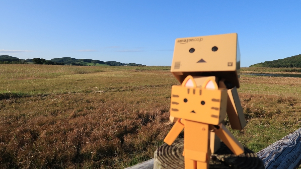 f:id:shirokumapanda:20190924005001j:plain f:id:shirokumapanda:20190924005001j:plain