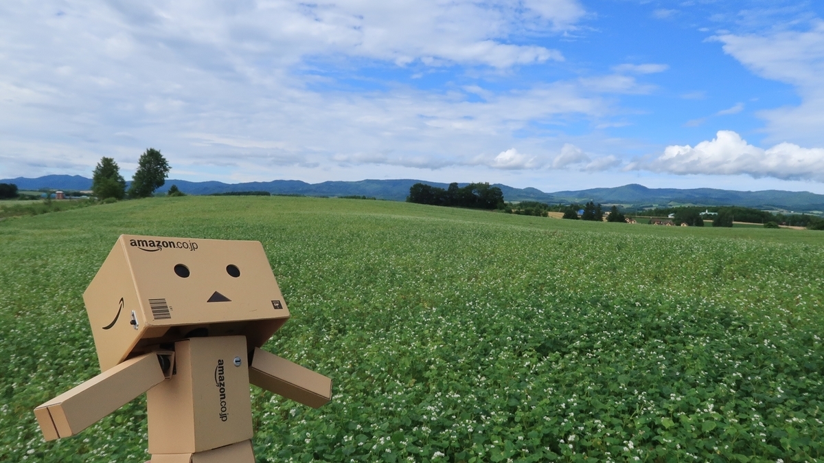 f:id:shirokumapanda:20191003022107j:plain