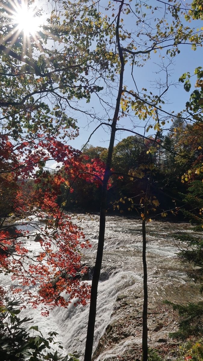 f:id:shirokumapanda:20191015230903j:plain