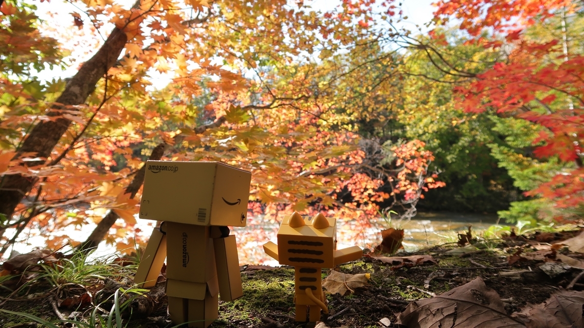 f:id:shirokumapanda:20191015230908j:plain