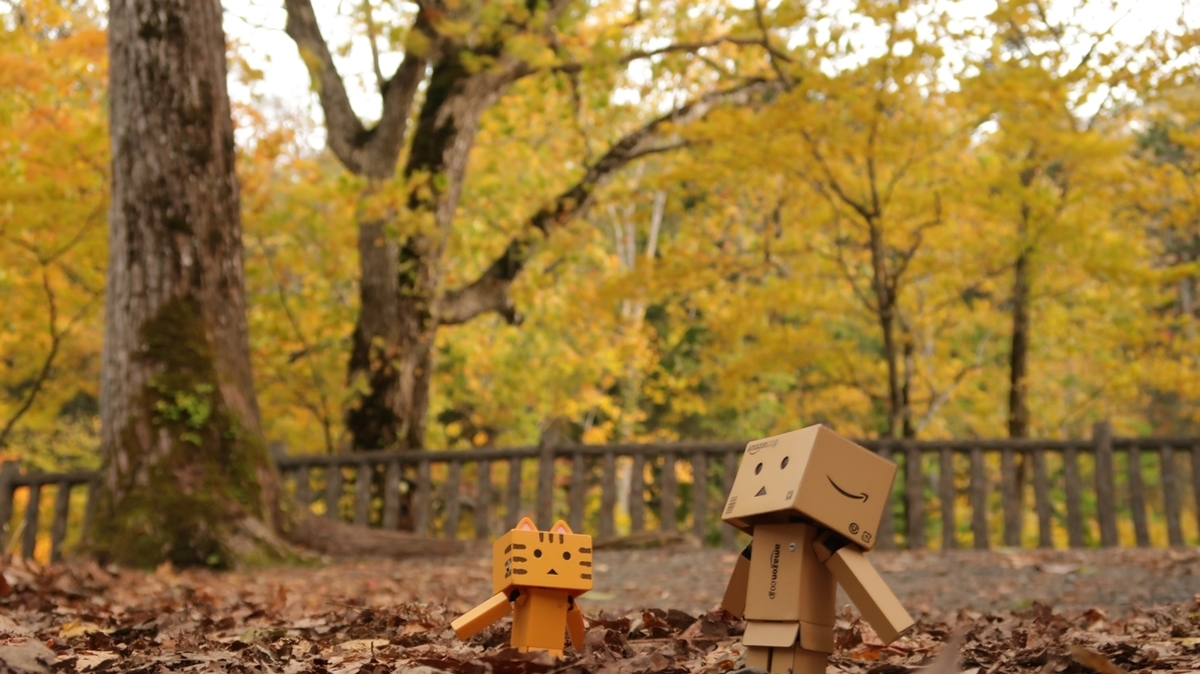 f:id:shirokumapanda:20191015231031j:plain