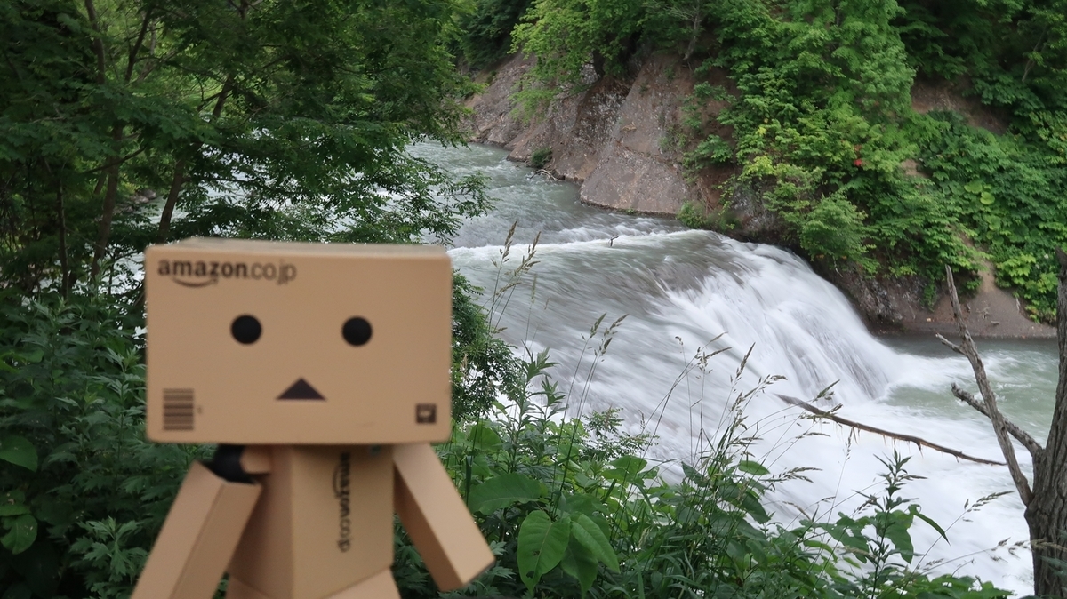 f:id:shirokumapanda:20191019003805j:plain