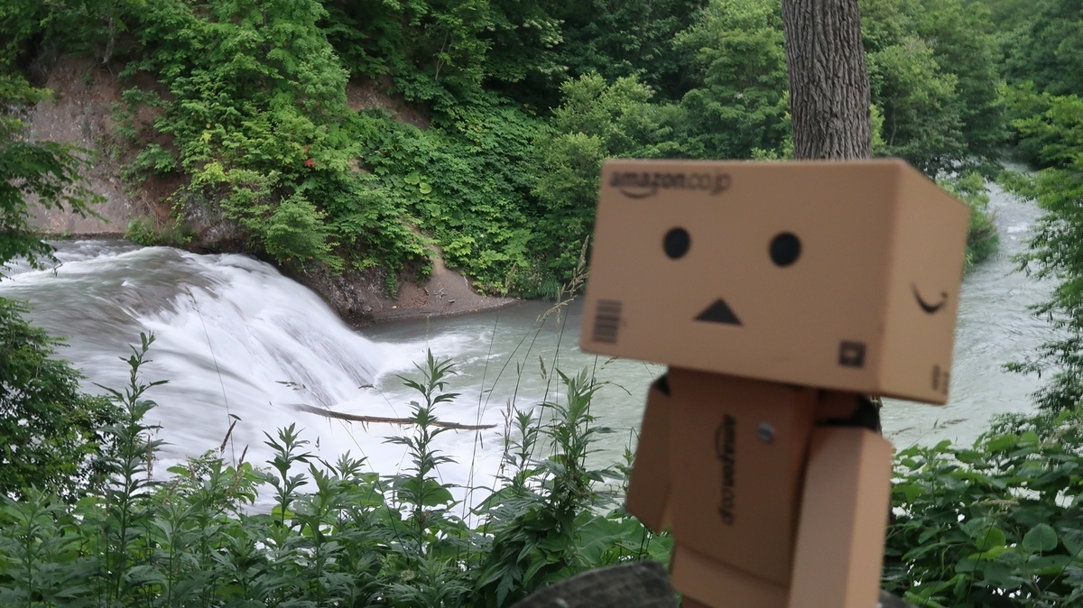 f:id:shirokumapanda:20191019003811j:plain