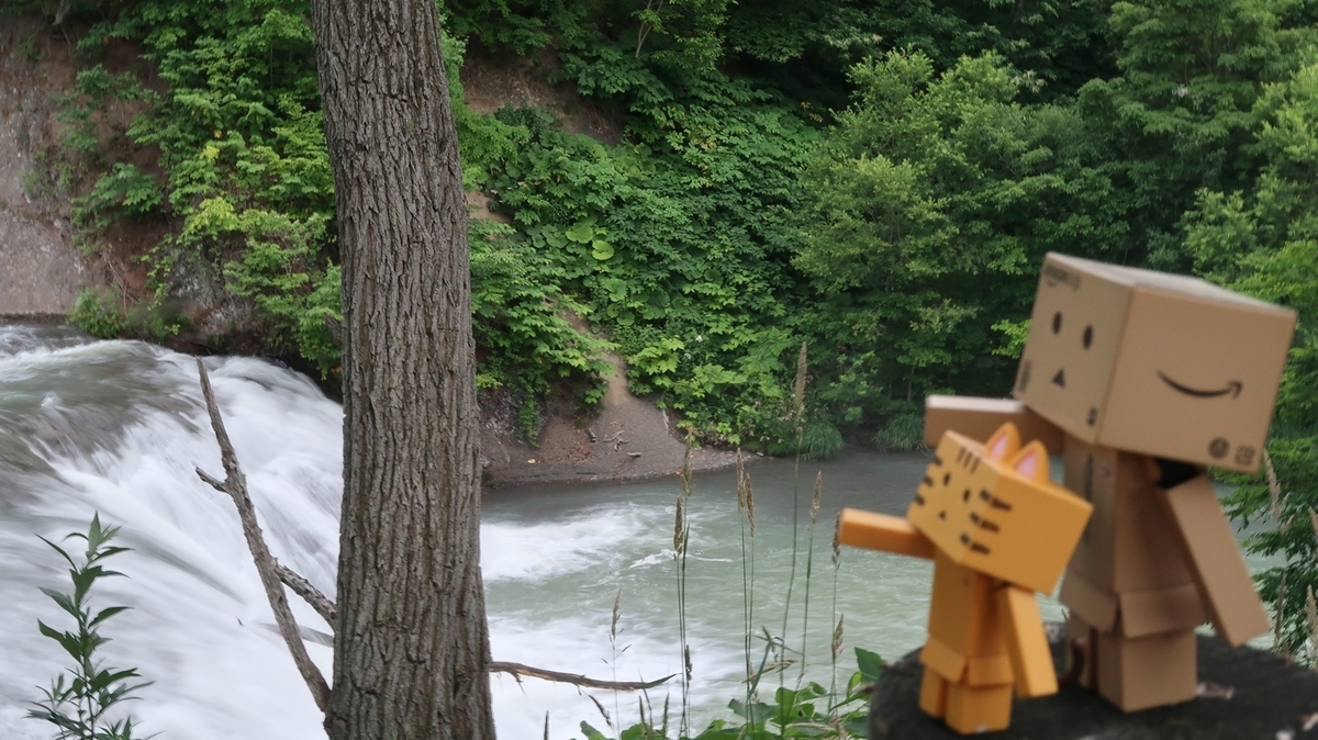 f:id:shirokumapanda:20191019003823j:plain